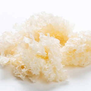 สารสกัดจากเห็ด Tremella Fuciformis